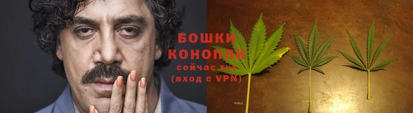 spice Протвино